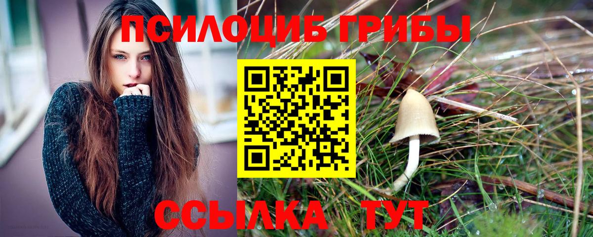 Галлюциногенные грибы Psilocybe  Вход с VPN  даркнет сайт  Осинники 